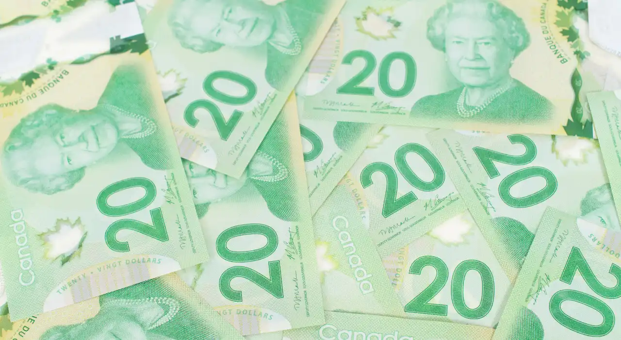 ਕੈਨੇਡੀਅਨ ਵੀਹ-ਡਾਲਰ ਦੇ ਨੋਟਾਂ ਦਾ ਢੇਰ ਵਿਖਰਿਆ ਹੋਇਆ।